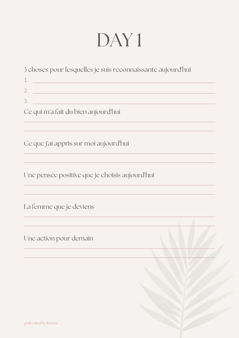 The Gratitude Journey - Journal 30 jours